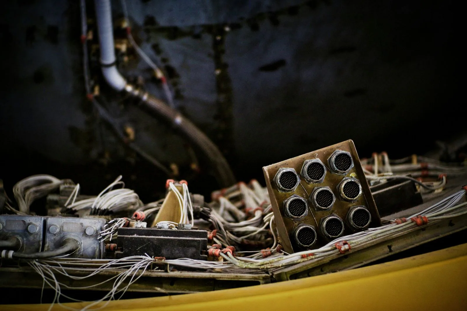Green Wings Project Supports International E-Waste Day 2024