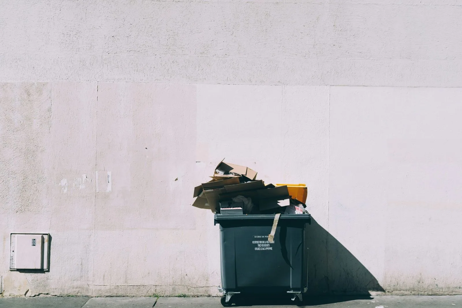 Green Wings Project Supports International E-Waste Day 2024